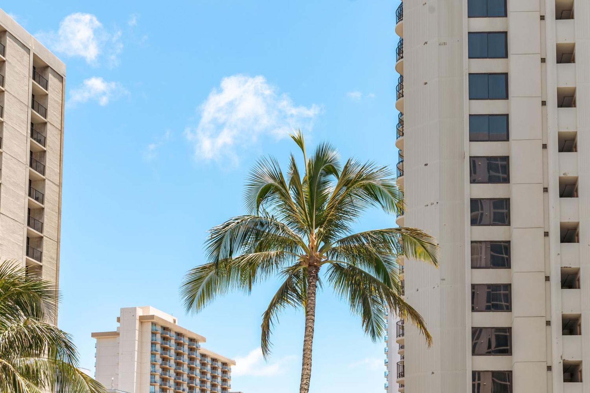 הונולולו Waikiki Banyan 1Br With Great Ocean Views, Steps To Beach & Parking! מראה חיצוני תמונה
