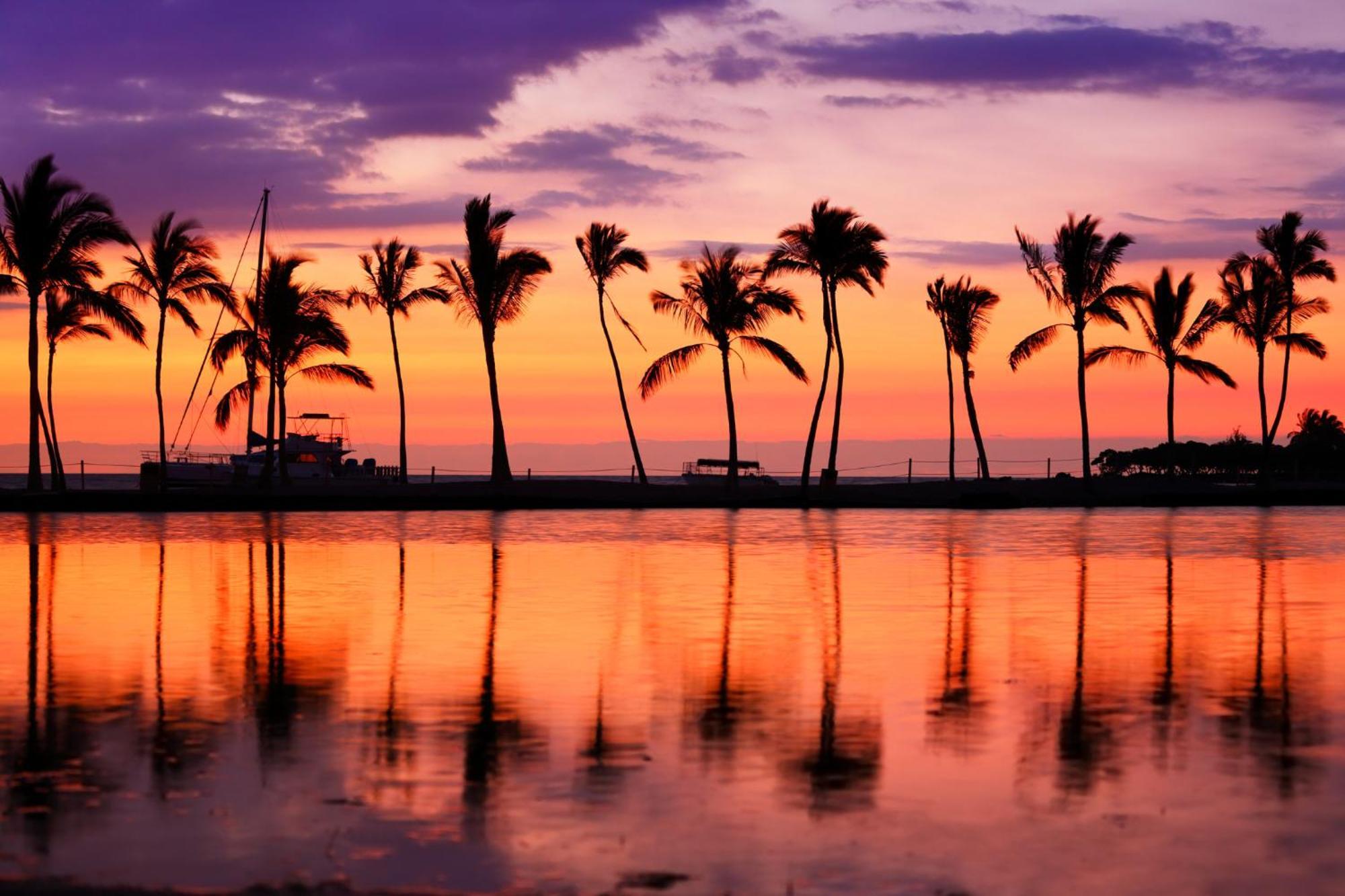 הונולולו Waikiki Banyan 1Br With Great Ocean Views, Steps To Beach & Parking! מראה חיצוני תמונה